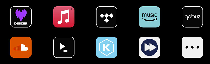 Eversolo T8 10 Eversolo T8