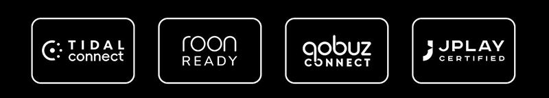 Eversolo T8 12 Eversolo T8