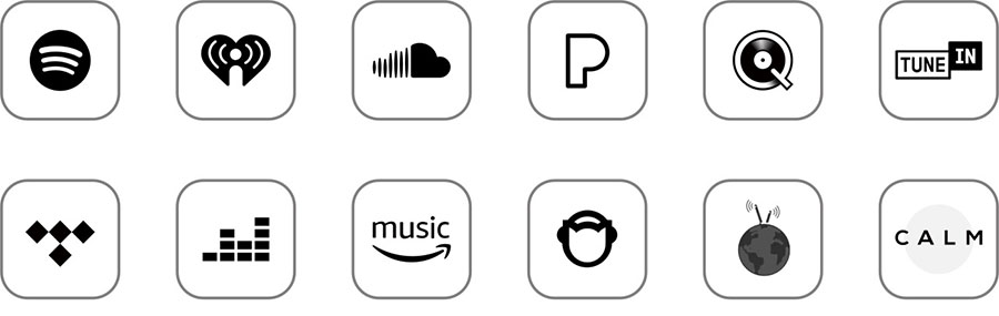 WiiM Amp Pro 2 WiiM Amp Pro